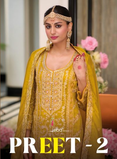 EBA LIFESTYLE PREET VOL 2 READYMADE KURTIS SUPPLIER